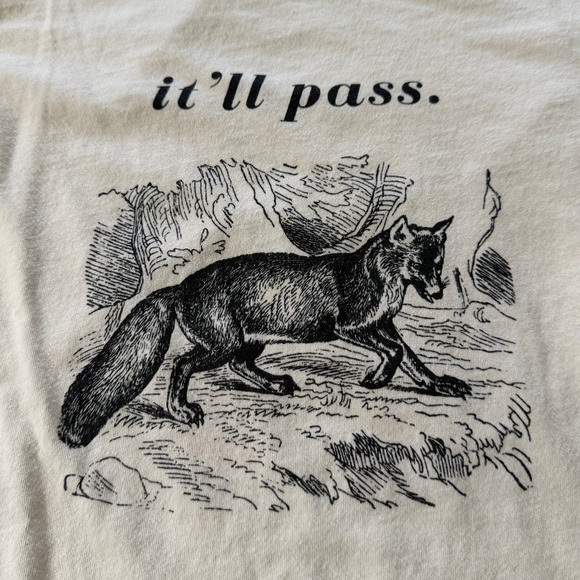 Attitude Unknown Other - It'll Pass Fox Graphic TShirt Tee Indie Cottagecore Bella Canvas Natural Medium